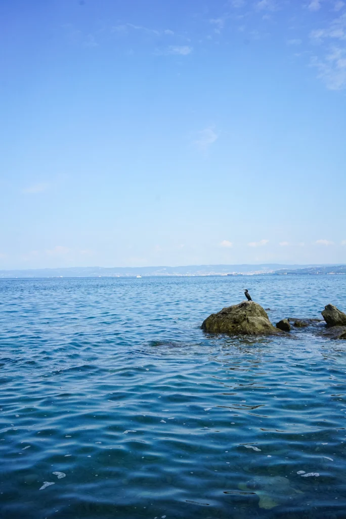 Beaches 15