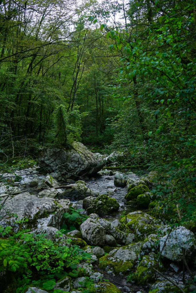 Rivers / Lakes 24