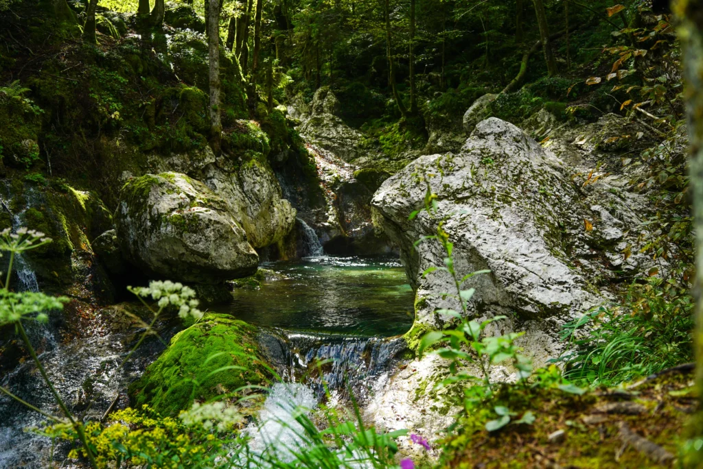 Rivers / Lakes 27