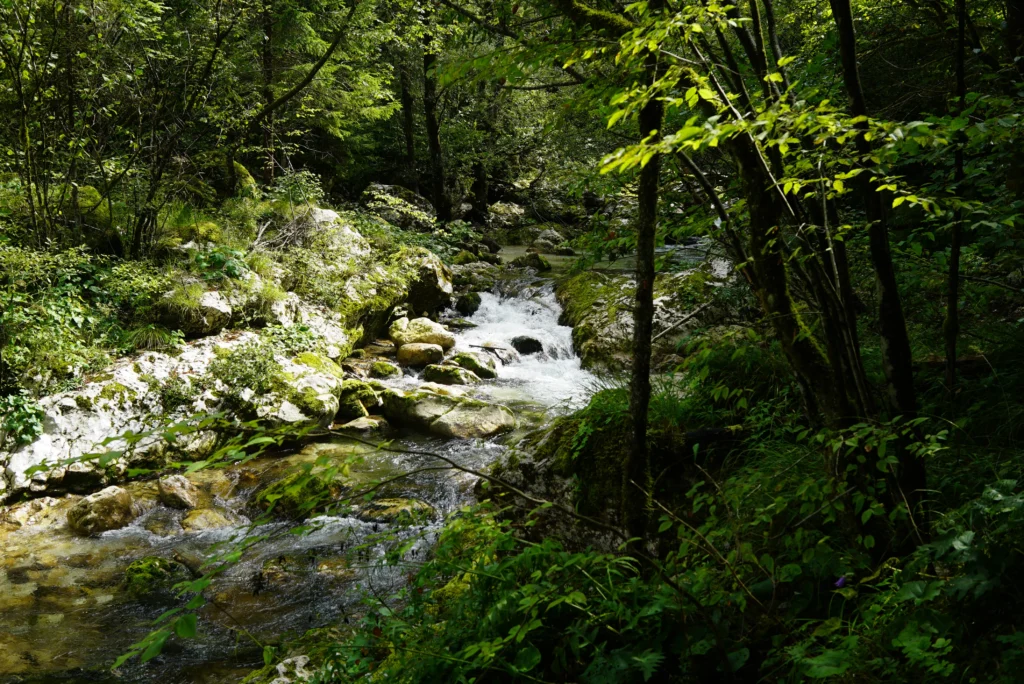 Rivers / Lakes 28