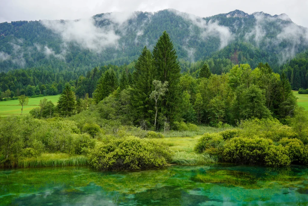 Rivers / Lakes 35