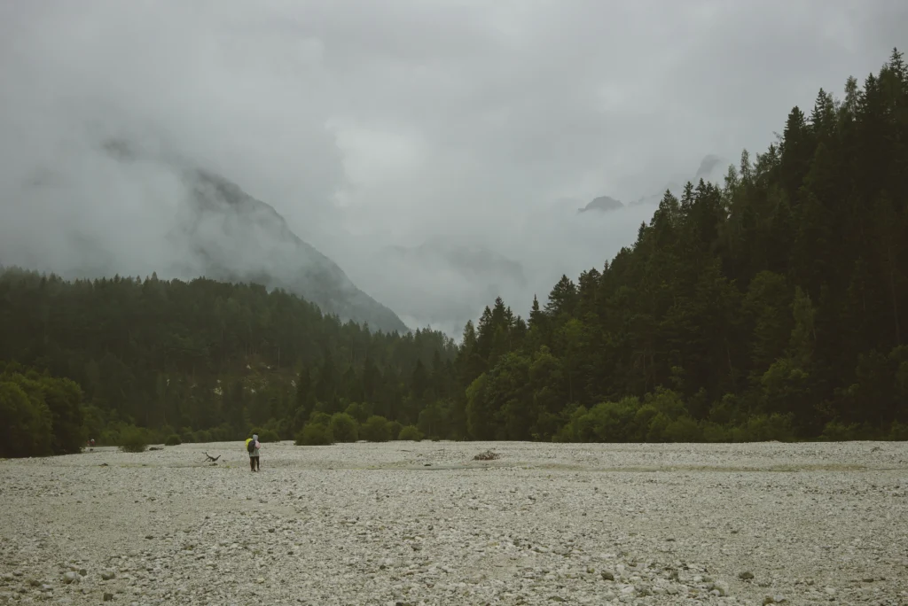 Forests 19