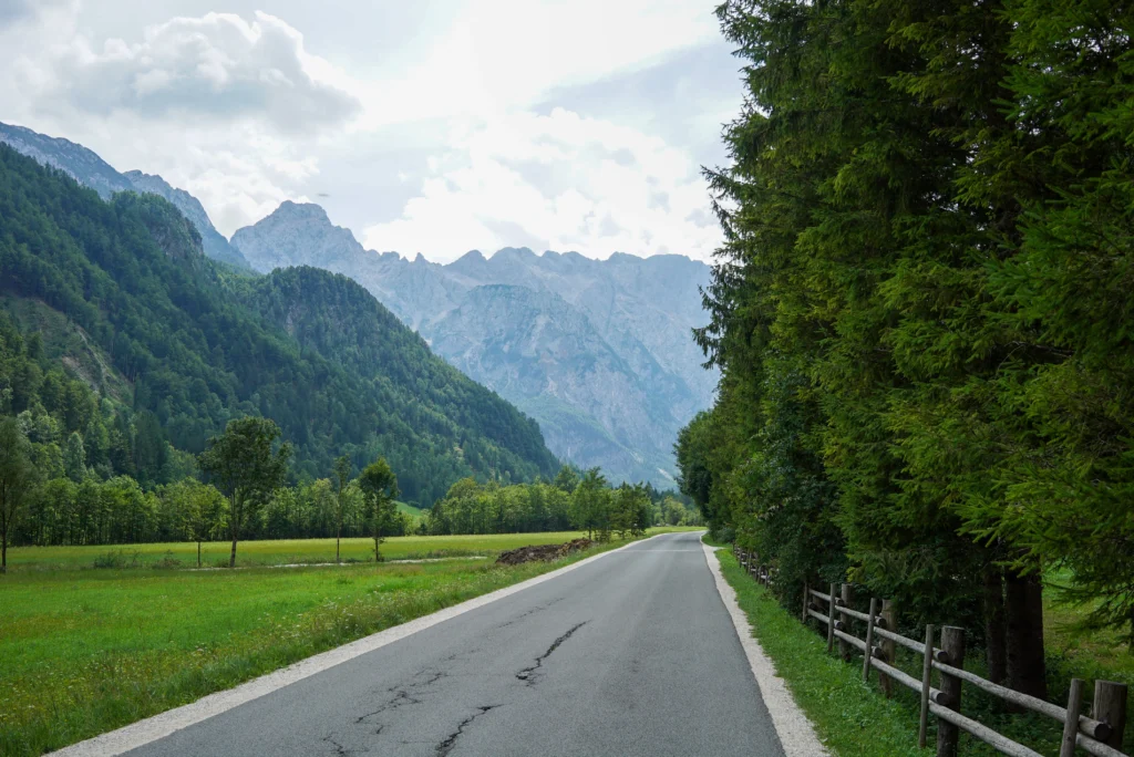 Forests 23