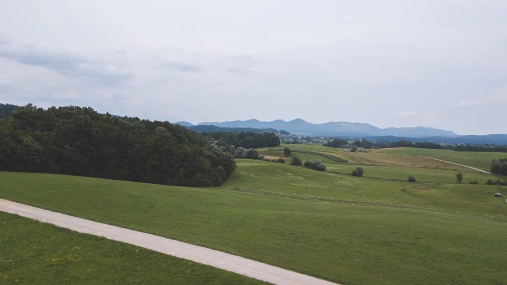 Fields / Meadows 15