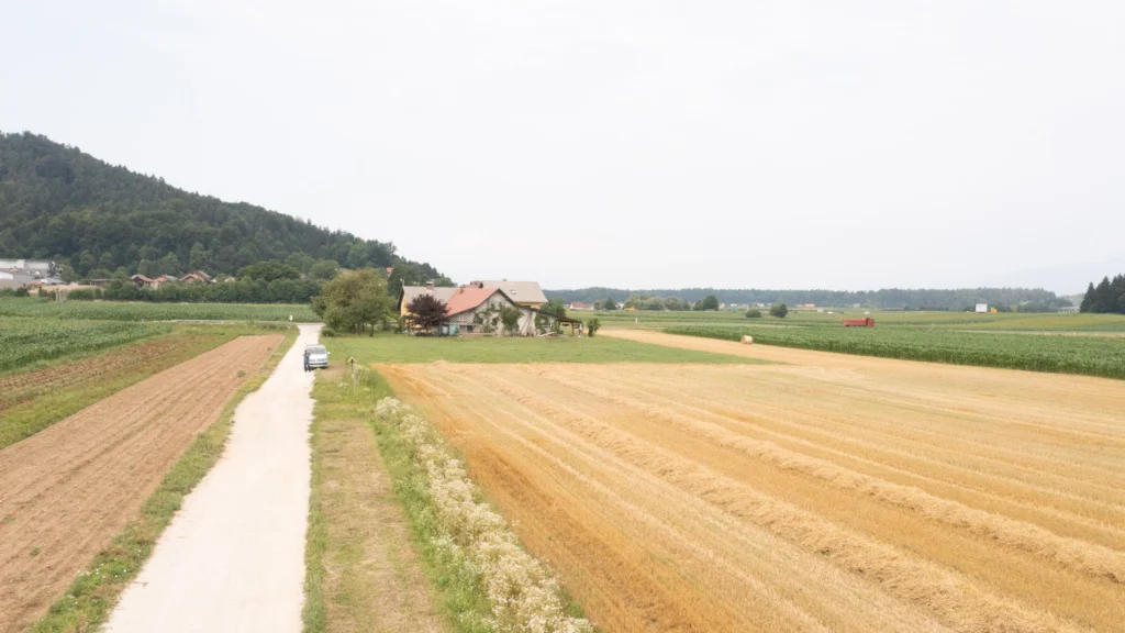 Fields / Meadows 16