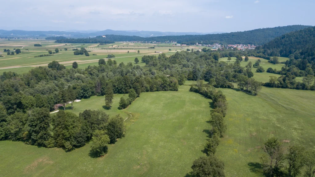 Fields / Meadows 18