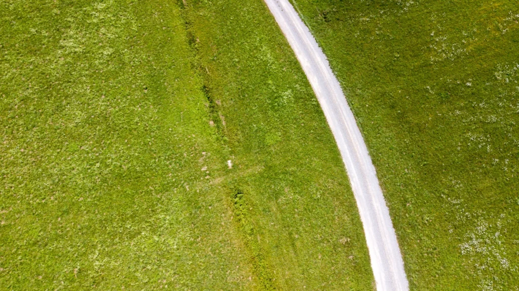 Fields / Meadows 19