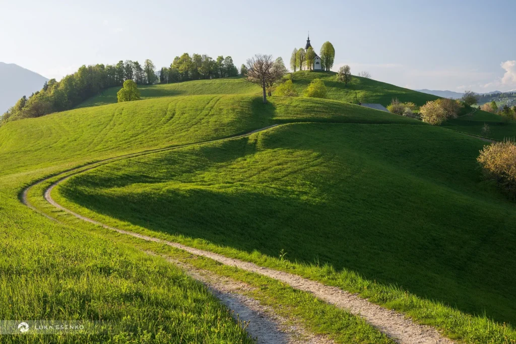 Fields / Meadows 37