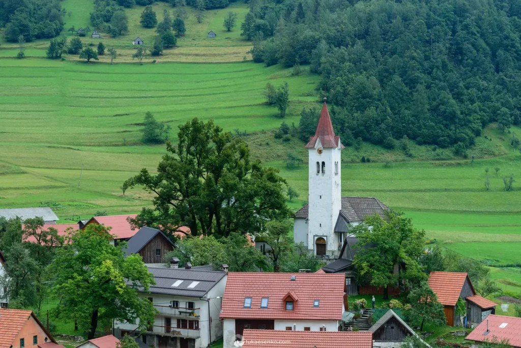 Fields / Meadows 42
