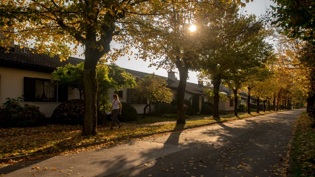 Residential Neighborhoods 25