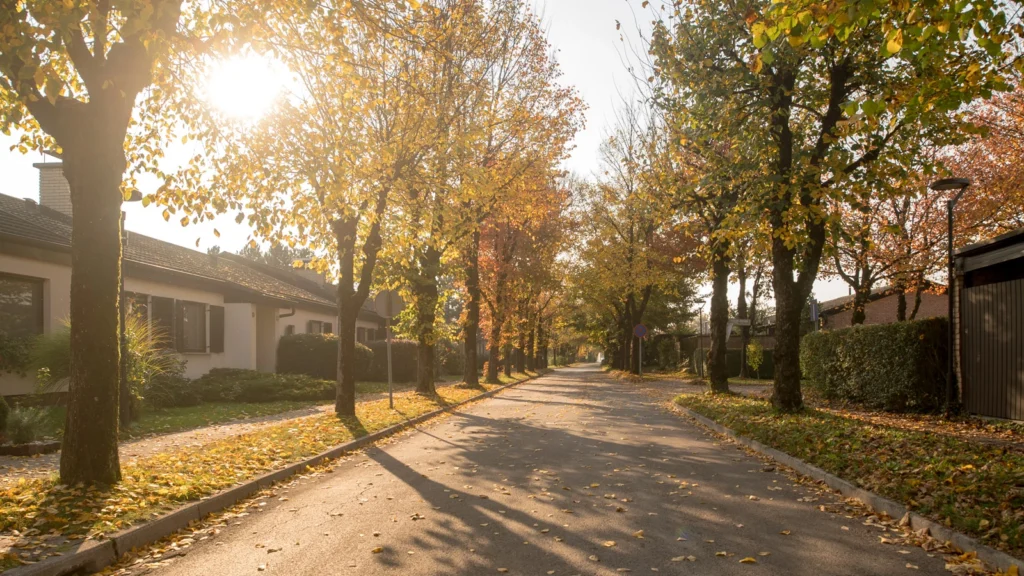 Residential Neighborhoods 26