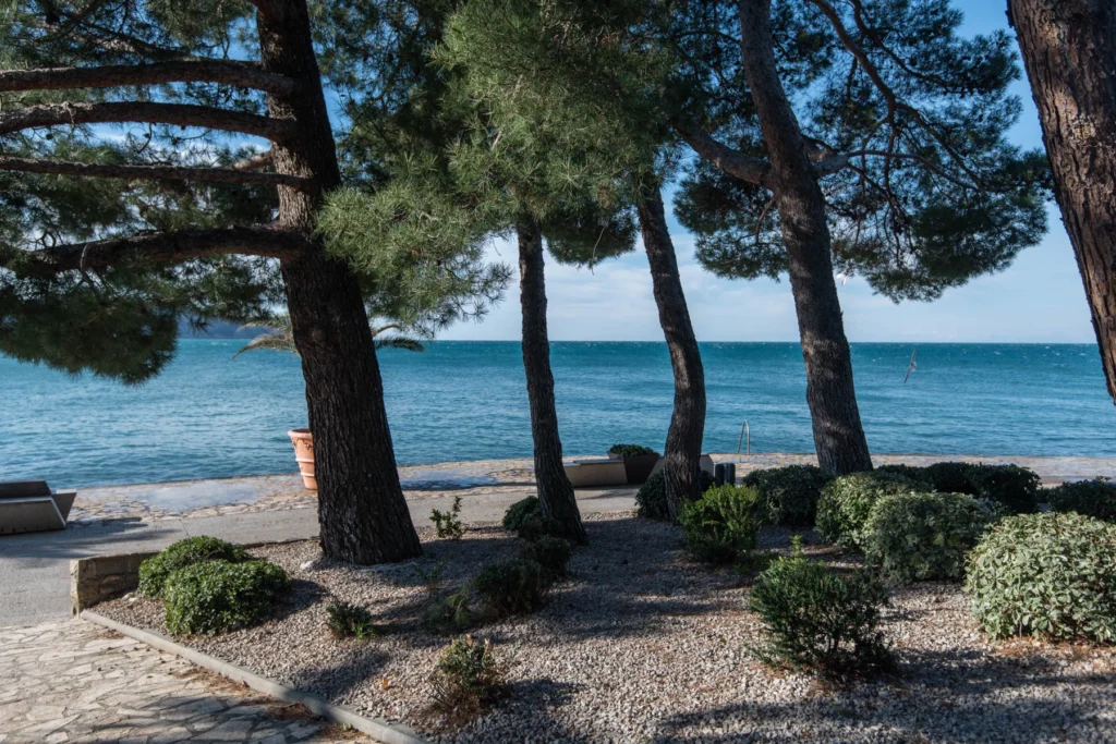 Beaches 27
